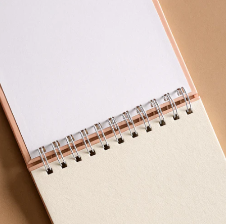 Capybara Sketching Book